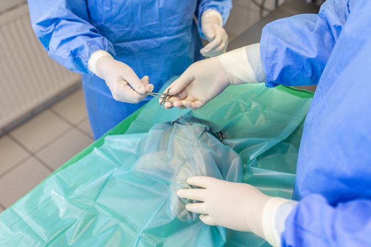 Kleintierpraxis Achim Chirurgie