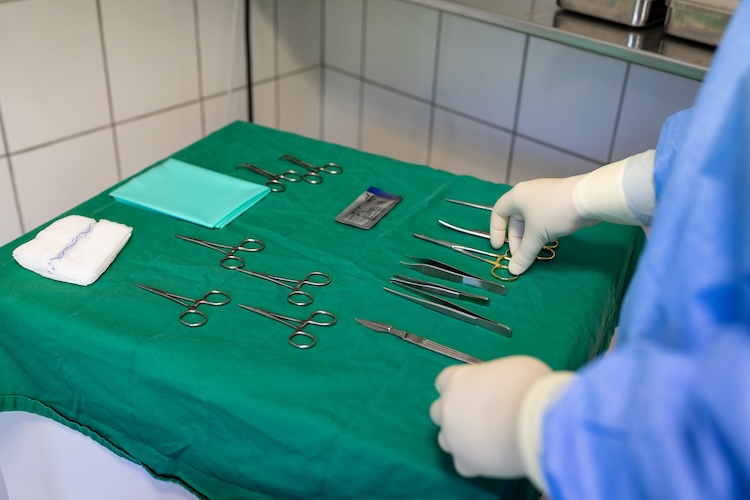 Kleintierpraxis Achim Chirurgie